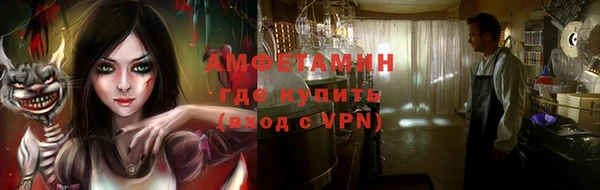 PSILOCYBIN Алзамай