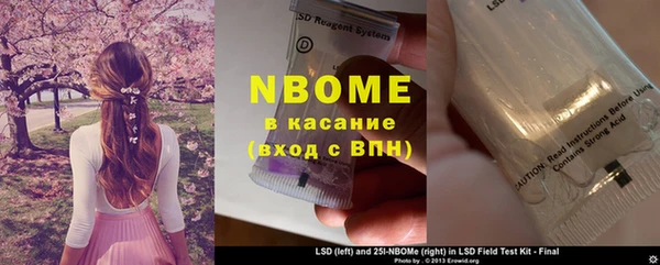 PSILOCYBIN Алзамай